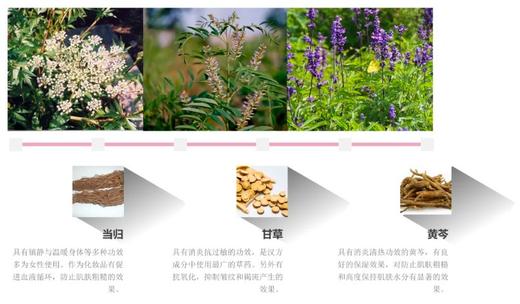 奥丽肤温和洁面乳洗面奶 进口氨基酸洗面 兲然橄榄油成分 ｜ 推崇自然之美 还原肌肤的本质 温和bao湿 补充充沛水动力 shen层清洁 滋养肌肤 收细毛孔泡沫丰富 洗后不紧绷 干净舒服 商品图6