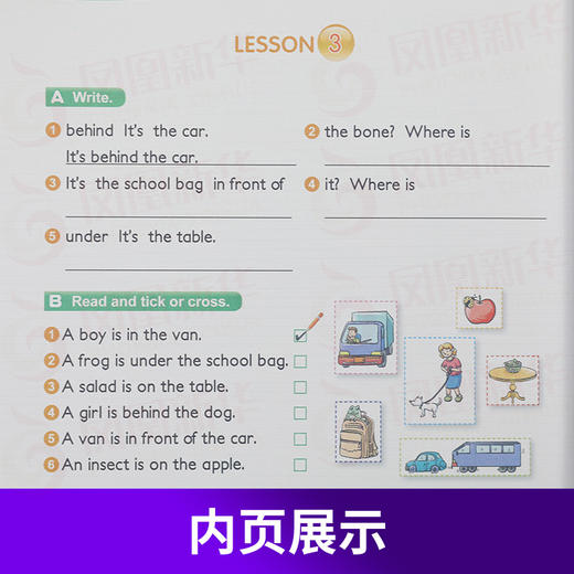 新概念英语 入门级A 青少版 学生用书 含光盘 学生用书同步语法教材 少儿英语教学课程读物外语教学与研究出版社 新华书店正版书籍 商品图3