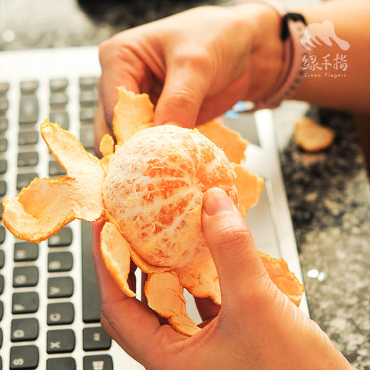 生态沃柑 | 合作生产 * Ecological Orah 商品图5