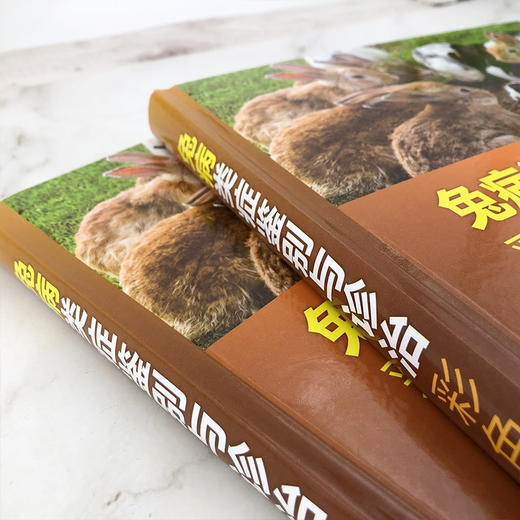 兔病类症鉴别与诊治彩色图谱 商品图3