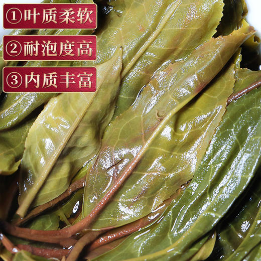 吉顺号冰岛头春古树普洱龙珠茶 生茶 小沱茶 250克/罐 免费试喝50g！ 商品图4