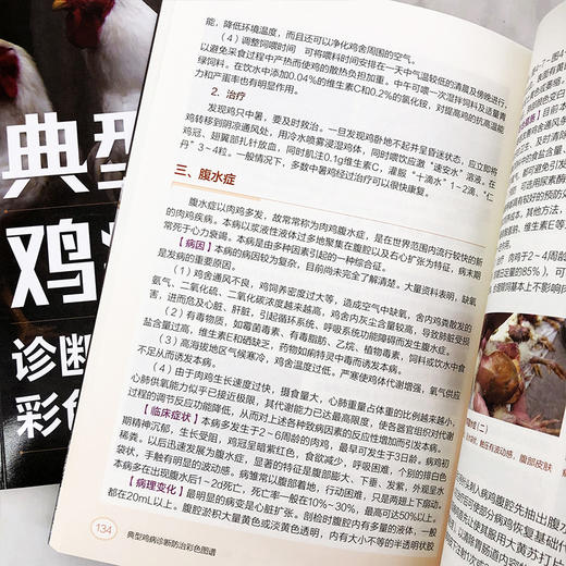 典型鸡病诊断防治彩色图谱 商品图9