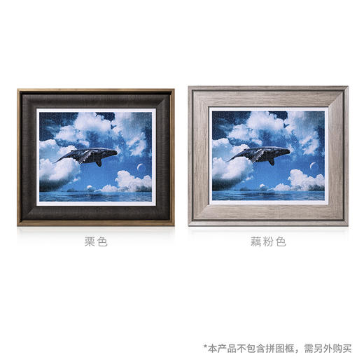 【折扣商品 不退不换】500片 平面拼图 塑料拼图 H2746 JeffreyHu-Whale of Sky 商品图3