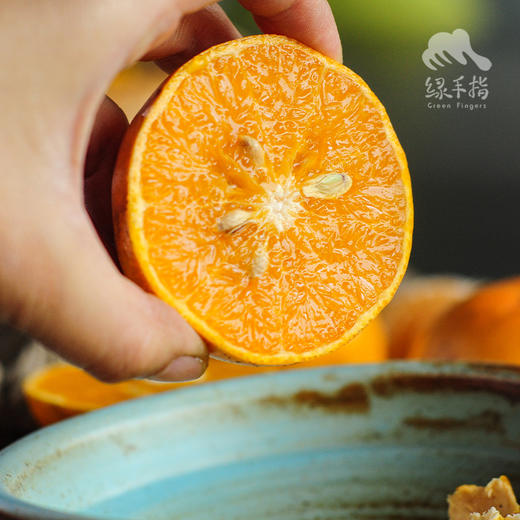 生态沃柑 | 合作生产 * Ecological Orah 商品图2