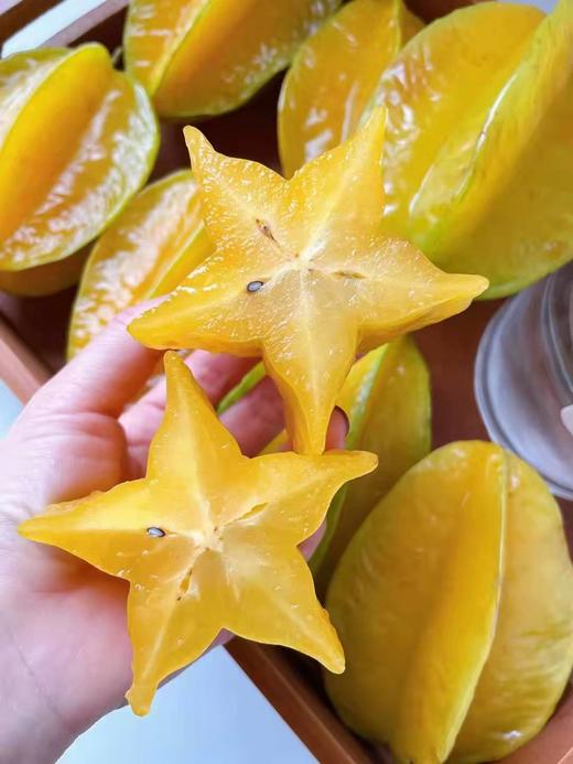 【树上熟红龙杨桃】6个/12个，果肉橙黄，肉厚多汁 商品图0