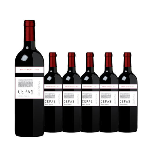 【整箱六瓶】赛佩斯博娜德马尔贝克红葡萄酒 Cepas Bonarda Malbec 750ml*6 商品图0