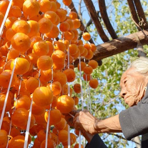 山东青州柿饼 | 合作生产 | 公平贸易* Qingzhou persimmon 商品图5