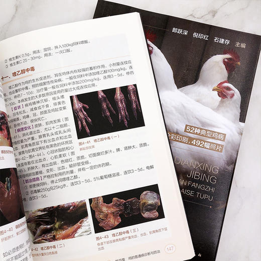 典型鸡病诊断防治彩色图谱 商品图5