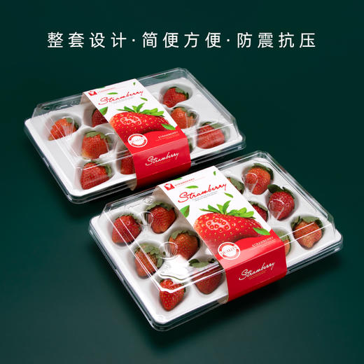 喇叭花一次性草莓盒奶油牛奶草莓包装盒带盖防震抗压礼品打包盒 商品图1