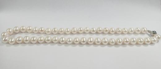 淡水珍珠项链 8.5-9.5mm白 淡水珍珠常规链98628 商品图0