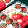 喇叭花一次性草莓盒奶油牛奶草莓包装盒带盖防震抗压礼品打包盒 商品缩略图3