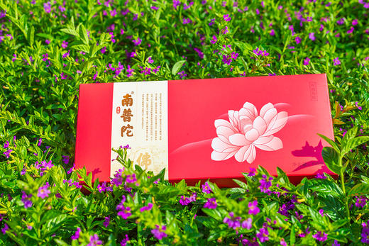 厦门特产 正宗 南普陀素饼 包装馅饼 零食 玫瑰花酥 商品图0