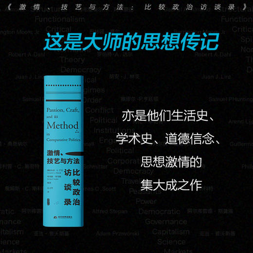 雅理译丛 激情 技艺与方法 比较政治访谈录 赫拉尔多L芒克 理查德斯奈德著 汪卫华译 政治社科书籍 商品图2