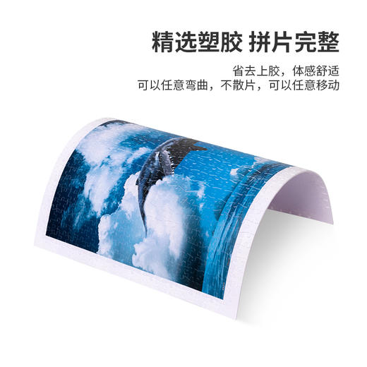 【折扣商品 不退不换】500片 平面拼图 塑料拼图 H2746 JeffreyHu-Whale of Sky 商品图4