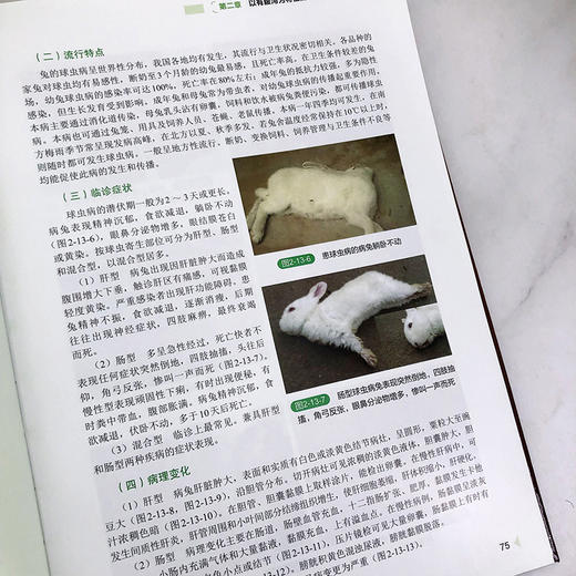兔病类症鉴别与诊治彩色图谱 商品图7