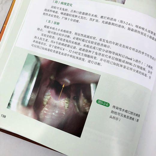 兔病类症鉴别与诊治彩色图谱 商品图10
