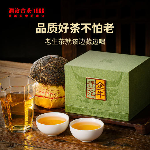 澜沧古茶2021年金牛青沱时光仓普洱茶老生茶190g 商品图3