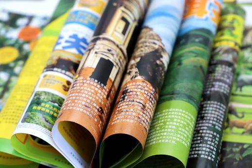 《环球少年地理·奇妙世界·珍藏版》（全10册）8大主题 囊括宇宙万物 商品图10