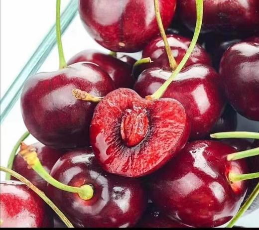 【心心念念的2021年澳洲车厘子】抢先尝，80多年历史的老牌果园CherryHillorchards空运车厘子出口一级果觅食 商品图1