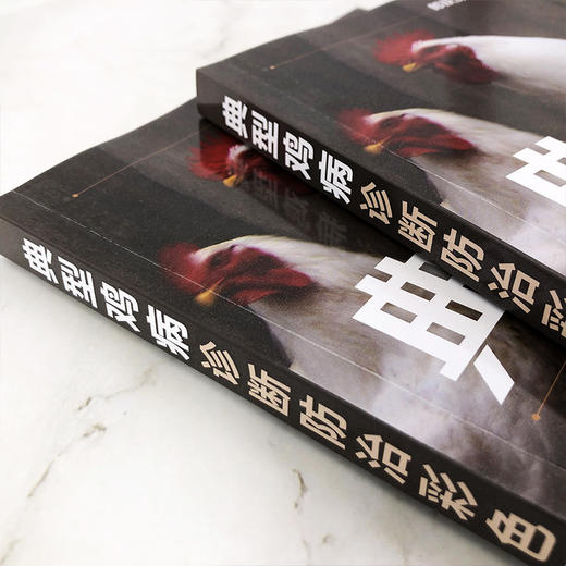 典型鸡病诊断防治彩色图谱 商品图4