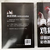 典型鸡病诊断防治彩色图谱 商品缩略图2