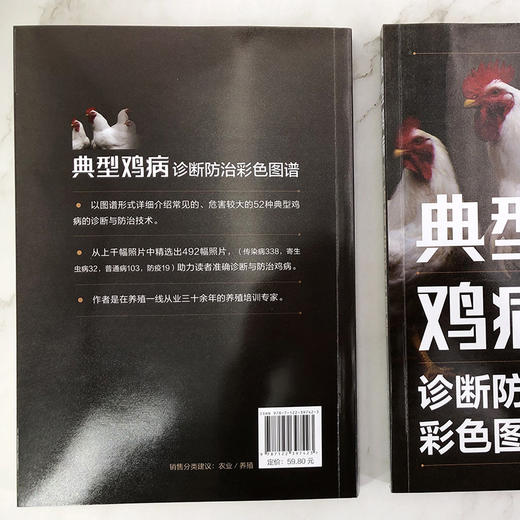 典型鸡病诊断防治彩色图谱 商品图2