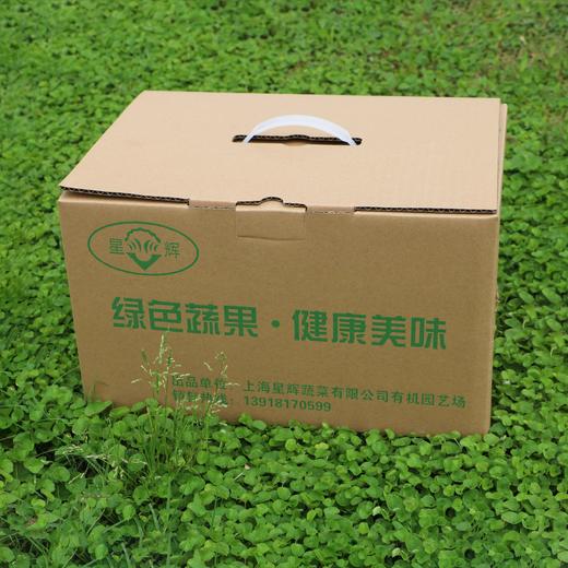 星辉时令蔬菜礼盒 商品图0