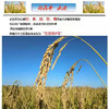 【产地直发包邮】有机五常稻花香米 商品缩略图2