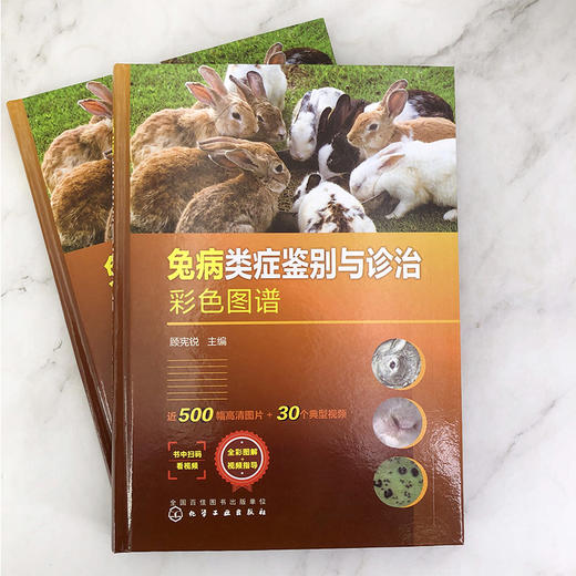 兔病类症鉴别与诊治彩色图谱 商品图1