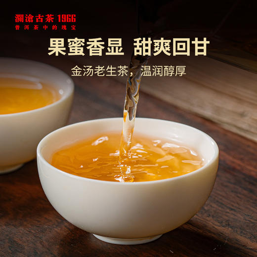 澜沧古茶2021年金牛青沱时光仓普洱茶老生茶190g 商品图2
