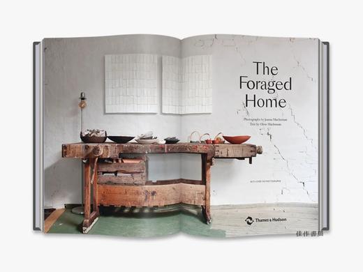 The Foraged Home/觅食之家 商品图1
