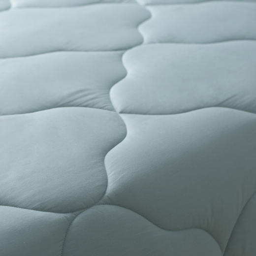 诗意精选 | CRIA  负氧离子澳毛冬被430gsm 商品图2