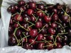 【心心念念的2021年澳洲车厘子】抢先尝，80多年历史的老牌果园CherryHillorchards空运车厘子出口一级果觅食 商品缩略图7