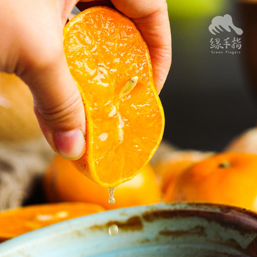 生态沃柑 | 合作生产 * Ecological Orah 商品图0