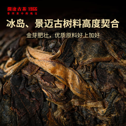 澜沧古茶2021年金牛青沱时光仓普洱茶老生茶190g 商品图1