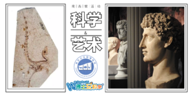 科学与艺术课程