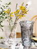 欧式西班牙ins风 透明玻璃花瓶花器 商品缩略图12