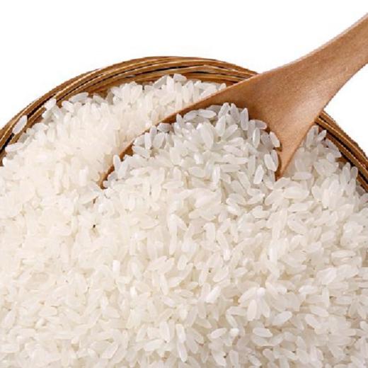 永泉禾长粒香10kg 商品图2