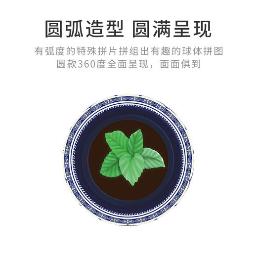 80片 盆栽拼图 塑料拼图 K1073 经典图腾 商品图5