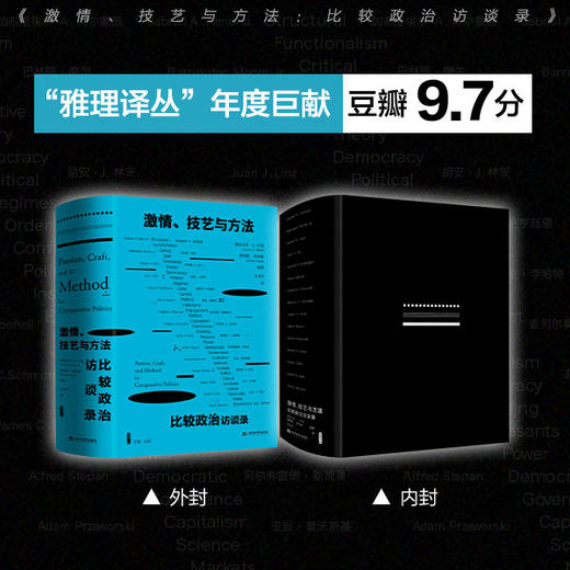 雅理译丛 激情 技艺与方法 比较政治访谈录 赫拉尔多L芒克 理查德斯奈德著 汪卫华译 政治社科书籍 商品图1