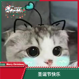 猫白金罐头 商品图0