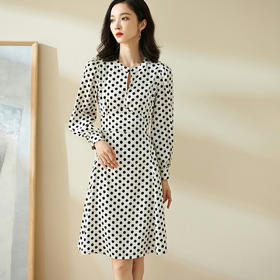 剩S/L/XL/XXL 米思阳波点a字裙2022春季新款法式收腰显瘦长袖连衣裙