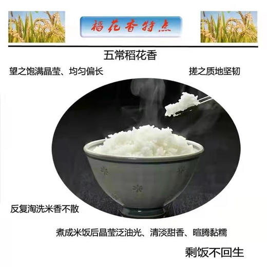 【产地直发包邮】有机五常稻花香米 商品图3