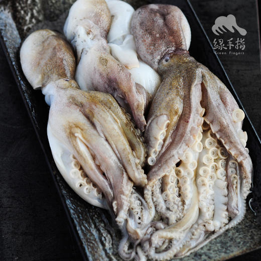 野生活冻小章鱼  | 合作生产 * Wild Dongshan Island seafood | Coproduction 商品图10