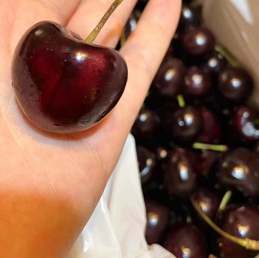 【心心念念的2021年澳洲车厘子】抢先尝，80多年历史的老牌果园CherryHillorchards空运车厘子出口一级果觅食 商品图2