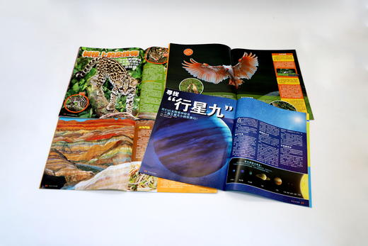 《环球少年地理·奇妙世界·珍藏版》（全10册）8大主题 囊括宇宙万物 商品图7