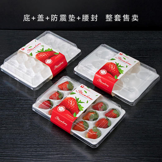 喇叭花一次性草莓盒奶油牛奶草莓包装盒带盖防震抗压礼品打包盒 商品图2