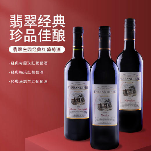 翡翠庄园经典梅洛干红葡萄酒750ml 商品图0