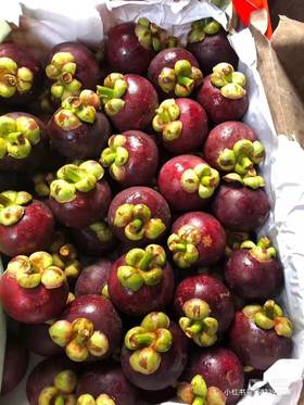 水果皇后——山竹