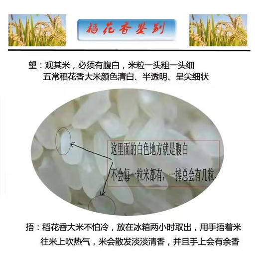【产地直发包邮】有机五常稻花香米 商品图4